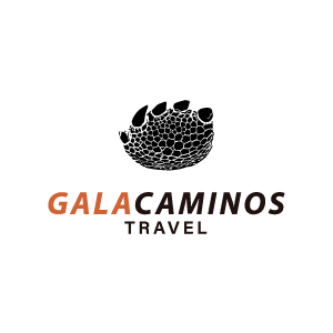 ガラカミーノストラベル　ロゴ